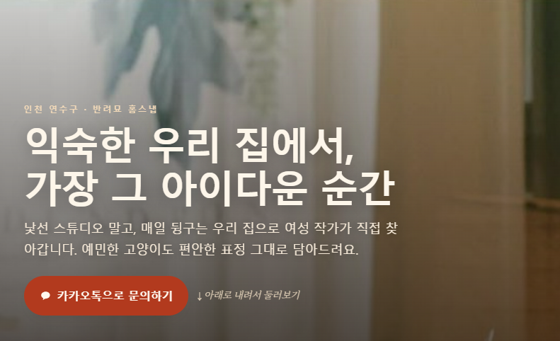 반려묘 스냅 홈페이지